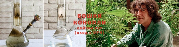 молекула духа Заволжье